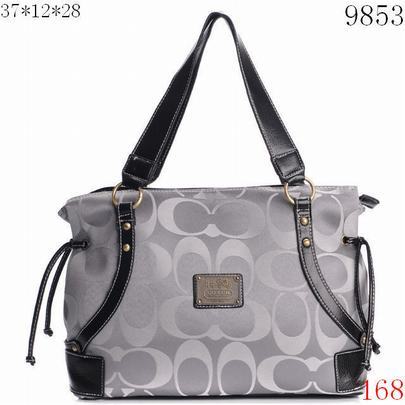 Coach handbags238